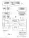 Fig. 03 - Distributed globally accessible information network