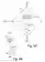 Fig. 07 - Selectively establishing read-only access to volume
