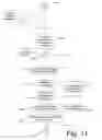 Fig. 14 - Selectively establishing read-only access to volume