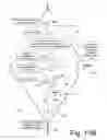 Fig. 18 - Selectively establishing read-only access to volume