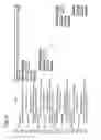 Fig. 06 - Turbo-code decoding using variably set learning interval and sliding window