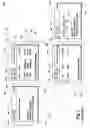 Fig. 03 - Page function architectural framework