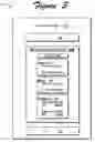 Fig. 04 - Hosted code runtime protection