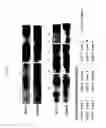 Fig. 06 - Astrocyte modulated genes and uses thereof