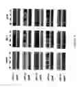 Fig. 09 - Astrocyte modulated genes and uses thereof