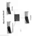 Fig. 09 - Genetic modification of C57 mice