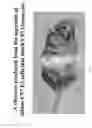 Fig. 20 - Genetic modification of C57 mice