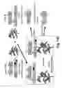 Fig. 22 - Transgenic plants with controlled distribution of a trait to progeny
