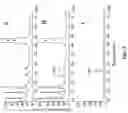 Fig. 06 - Plant isoflavonoid hydroxylases and methods of use thereof