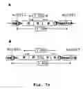 Fig. 10 - Recombination systems and methods for eliminating nucleic acid sequences from the genome of eukaryotic organisms