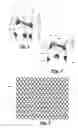 Fig. 02 - Underwear creating tattoo illusion