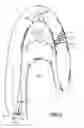 Fig. 03 - Massaging sink neck rest