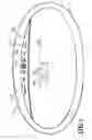 Fig. 04 - Massaging sink neck rest