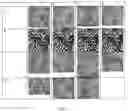 Fig. 02 - Anionic phthalic acid ester compounds and stain resistant compounds