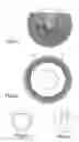 Fig. 04 - Tooth-cleaning device