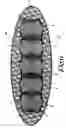 Fig. 04 - Method for manufacturing a resilient body which can be applied in cushions, mattresses or the like