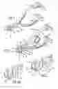 Fig. 02 - Nail clippers