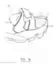 Fig. 02 - System and method for removably attaching an inner bootie to a sandal