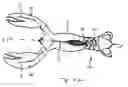 Fig. 01 - Artificial fishing lure
