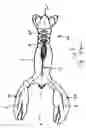 Fig. 04 - Artificial fishing lure