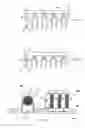 Fig. 08 - Diesel filter plugging process