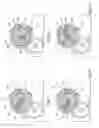Fig. 07 - Electronic deadbolt lock arrangement