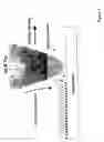 Fig. 02 - Methods utilizing scanning probe microscope tips and products thereof or produced thereby