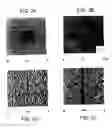 Fig. 03 - Methods utilizing scanning probe microscope tips and products thereof or produced thereby