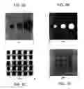 Fig. 04 - Methods utilizing scanning probe microscope tips and products thereof or produced thereby