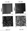 Fig. 07 - Methods utilizing scanning probe microscope tips and products thereof or produced thereby