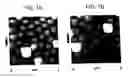 Fig. 08 - Methods utilizing scanning probe microscope tips and products thereof or produced thereby