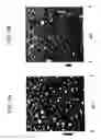 Fig. 09 - Methods utilizing scanning probe microscope tips and products thereof or produced thereby