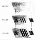 Fig. 11 - Methods utilizing scanning probe microscope tips and products thereof or produced thereby