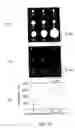 Fig. 16 - Methods utilizing scanning probe microscope tips and products thereof or produced thereby