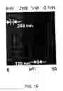 Fig. 20 - Methods utilizing scanning probe microscope tips and products thereof or produced thereby