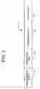 Fig. 04 - Tire-state obtaining apparatus