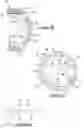 Fig. 09 - Apparatus for sensing position and/or torque