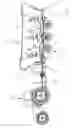 Fig. 02 - Drive device