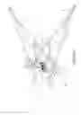 Fig. 05 - Slingshot
