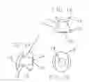 Fig. 02 - Hemi-cannula for tracheotomy patients