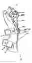 Fig. 01 - Forelimb brace device