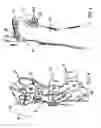 Fig. 04 - Forelimb brace device