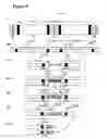 Fig. 06 - LOW IGNITION PROPENSITY (LIP) PAPER SMOKING ARTICLES