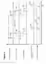 Fig. 10 - LOW IGNITION PROPENSITY (LIP) PAPER SMOKING ARTICLES