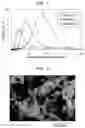 Fig. 02 - Particulate aluminum nitride and method for producing thereof