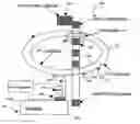 Fig. 01 - Method for sequentially ordering objects using a single pass delivery point process