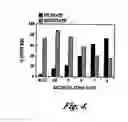 Fig. 07 - Tangential flow filtration devices and methods for leukocyte enrichment