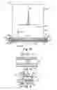 Fig. 05 - Multi-section retaining/sorting/browsing apparatus
