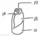 Fig. 01 - Beverage container with a packet containing green tea or other nutritional supplements