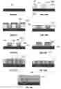 Fig. 26 - Electrochemical fabrication methods incorporating dielectric materials and/or using dielectric substrates